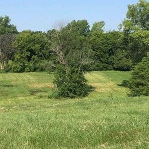 Meet your Posher, Regina